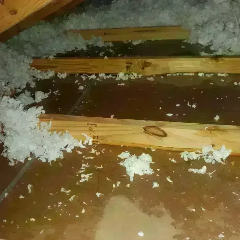 Attic Water Damage in Acadia Parish, LA